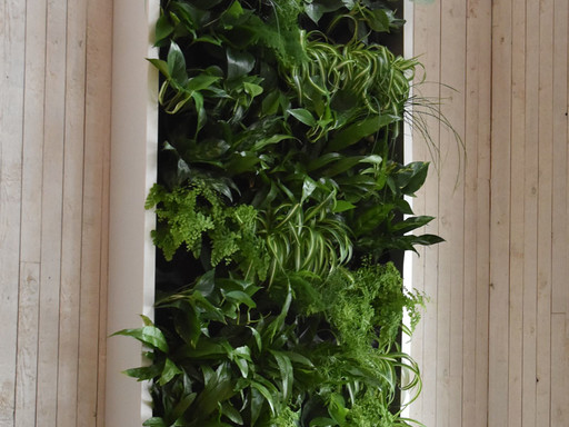 Växtvägg i Högbo hotell